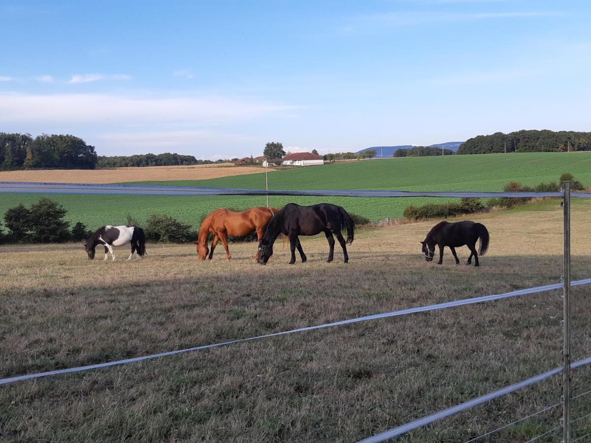 Gites Domaine De La Rochere Domsure Bagian luar foto