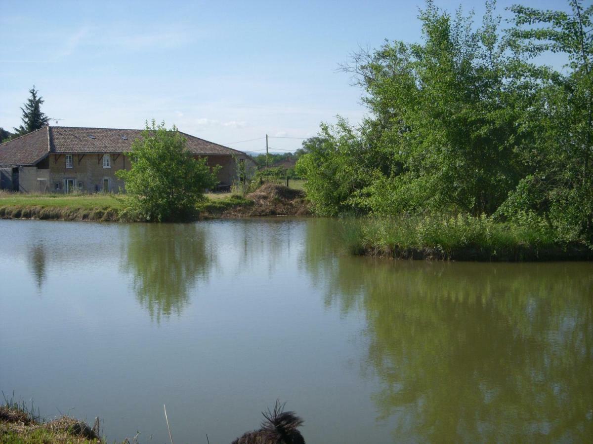 Gites Domaine De La Rochere Domsure Bagian luar foto